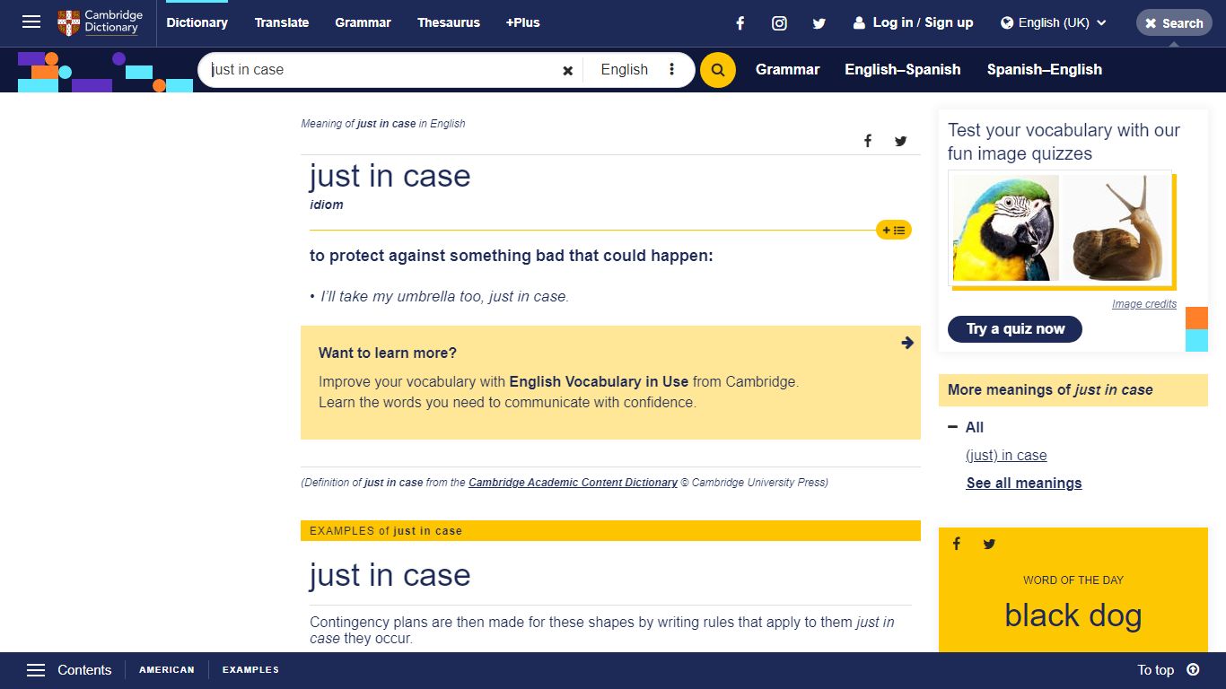 Meaning of just in case in English - Cambridge University Press ...